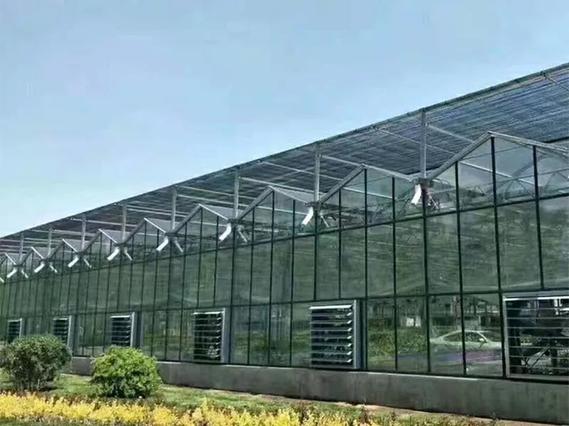 Điều gì khiến trang trại thép thẳng đứng trở thành tương lai của nông nghiệp bền vững?